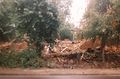 Die Brandruine kurz vor dem Abtragen der letzten Überreste (1991).