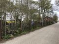 Der Skulpturenpark im Garten - Aufnahme vom 13. Mai 2021.