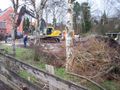 Arbeiter legen das zugewachsene Grundstück und damit auch den Bunker frei - Aufnahme vom 17. Januar 2007.