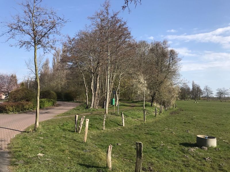 Datei:Hoog Ses Muellberg 18042021 02.jpg