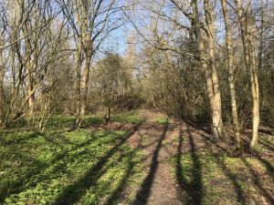 Hoog Ses Muellberg 18042021 05.jpg