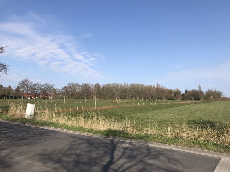 Datei:Hoog Ses Muellberg 18042021 01.jpg