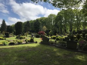 Neuer Friedhof 15052021 04.jpg