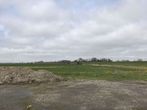 Buscherpolder Westermarscher Seedeich Suederdeichstrasse 13052021 02.jpg