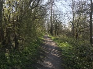 Hoog Ses Muellberg 18042021 08.jpg