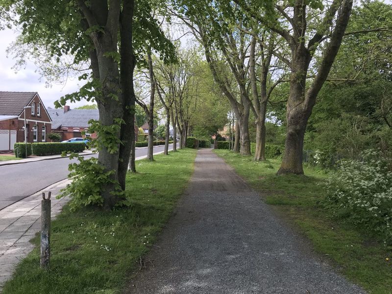 Datei:Neuer Friedhof 15052021 02.jpg