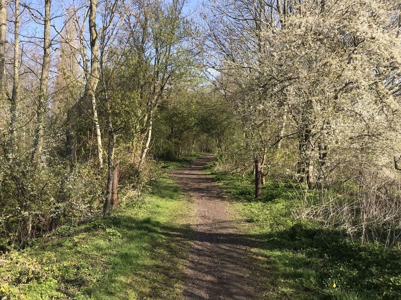 Datei:Hoog Ses Muellberg 18042021 03.jpg