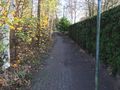 Unter anderem am Wendehammer der Waldstraße ist der alte Deich noch als leichte Erhöhung erkennbar - Aufnahme vom 20. November 2021.