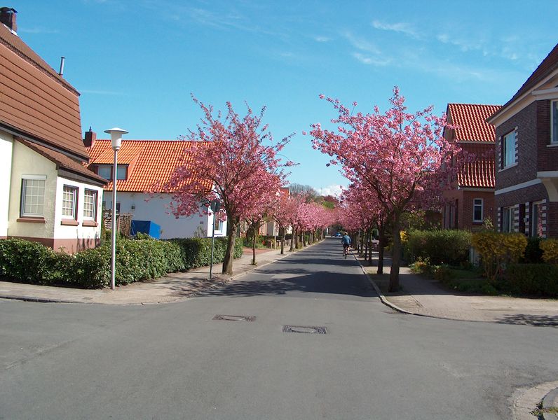 Datei:Hollweg - 23042004 (2).jpg