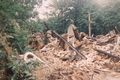 Die Brandruine kurz vor dem Abtragen der letzten Überreste (1991).
