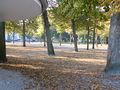 Baumbestandener Marktplatz im Herbst - Aufnahme vom 11. Oktober 2005.