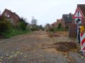 Baumfällarbeiten Nordseestraße - Aufnahme vom 17. November 2015.