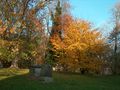 Alter Friedhof im Herbst - Aufnahme vom 9. November 2003.