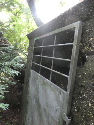 Knyphausenstraße Manningastraße Bunker 15 08 2021 04.jpg