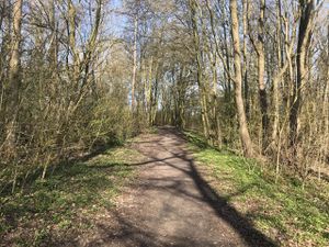 Hoog Ses Muellberg 18042021 06.jpg