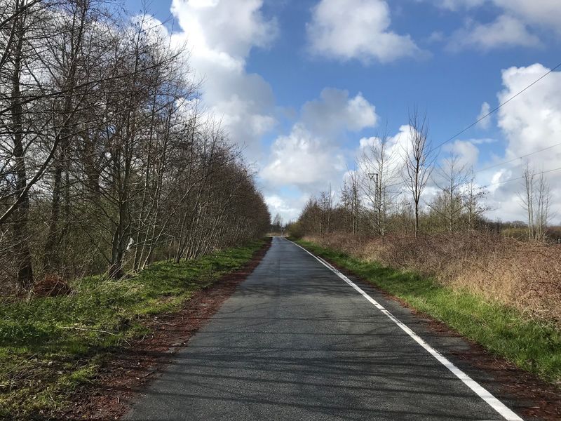 Datei:Altenbuergerlande Strasse 13042021 02.jpg