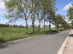 Ekeler Weg 28052021 01.jpg