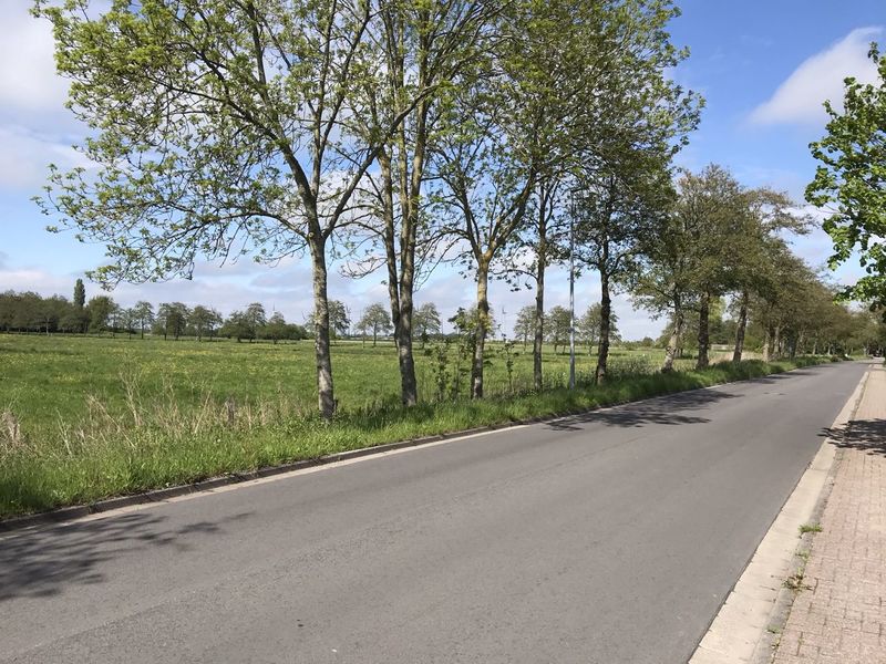 Datei:Ekeler Weg 28052021 01.jpg