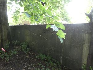 Knyphausenstraße Manningastraße Bunker 15 08 2021 07.jpg