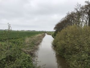 Altendeichsweg Bruecke Deichgasthof Zur Leybucht Neulander Tief 13052021 02.jpg