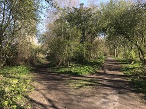 Hoog Ses Muellberg 18042021 04.jpg