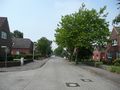 Blick in die Straße - Aufnahme vom 10. Juni 2007.